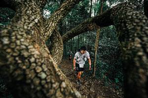 BIB: 
                            <button type="button" onclick="openModal(25393256)" class="btn btn-primary btn-sm float-right btn-popup" data-toggle="modal" data-target=".modal-high-quality">
                        <i class="fas fa-shopping-cart"></i> Add to Cart
                    </button>
                                            <button type="button" onclick="isThisMe(25393256, true)" class="btn btn-success btn-sm float-right btn-popup btn-isme hidden" data-toggle="tooltip" data-placement="bottom" title="นี่คือรูปของคุณใช่ไหม คลิกที่นี่เพื่อเอาเข้าอัลบั้ม">
                        <i class="fas fa-plus"></i> Add to album
                    </button>
                    <button type="button" onclick="isThisMe(25393256, false)" class="btn btn-warning btn-sm float-right btn-popup btn-isnotme hidden">
                        <i class="fas fa-ban"></i> Remove from album
                    </button>